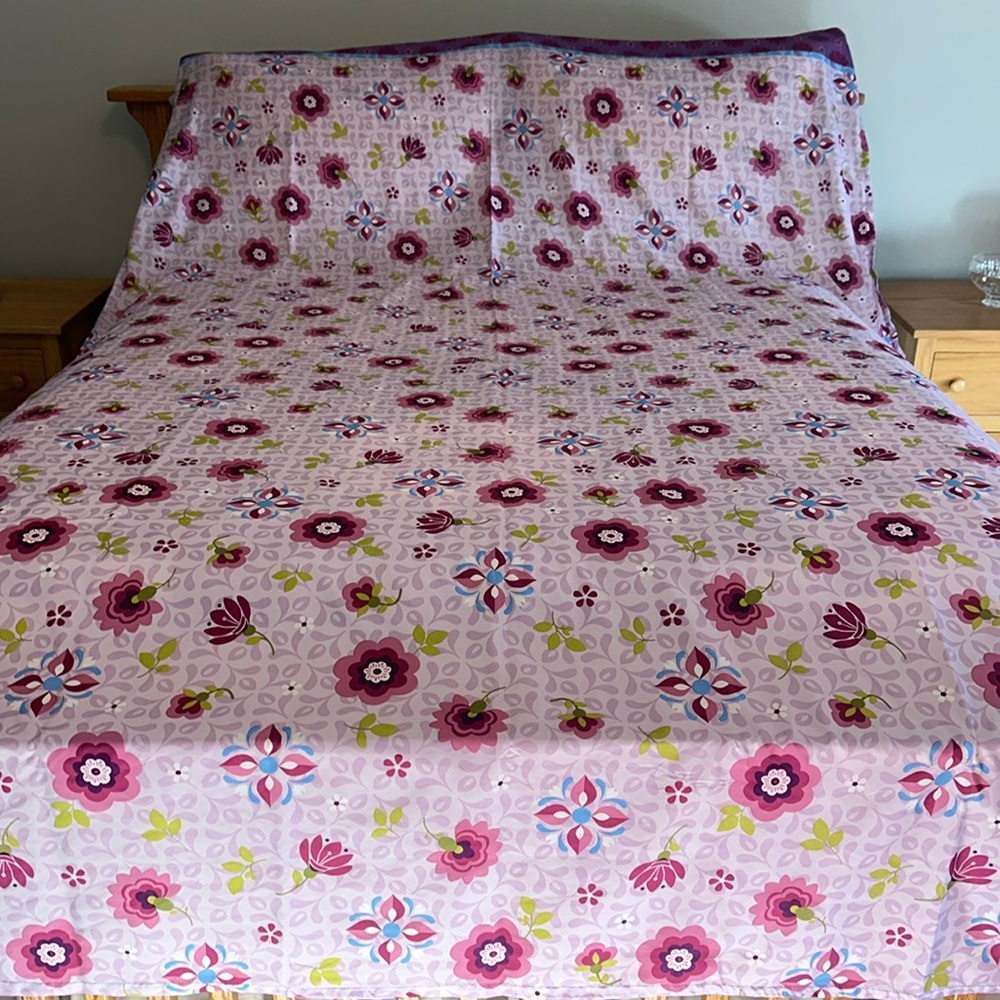 Disney twin flat sheet 100% polyester from the Frozen set
